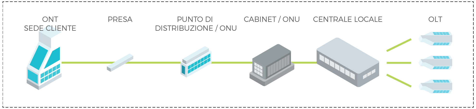 grafico_olt